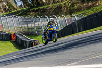 Oulton-Park-20th-March-2020;PJ-Motorsport-Photography-2020;anglesey;brands-hatch;cadwell-park;croft;donington-park;enduro-digital-images;event-digital-images;eventdigitalimages;mallory;no-limits;oulton-park;peter-wileman-photography;racing-digital-images;silverstone;snetterton;trackday-digital-images;trackday-photos;vmcc-banbury-run;welsh-2-day-enduro